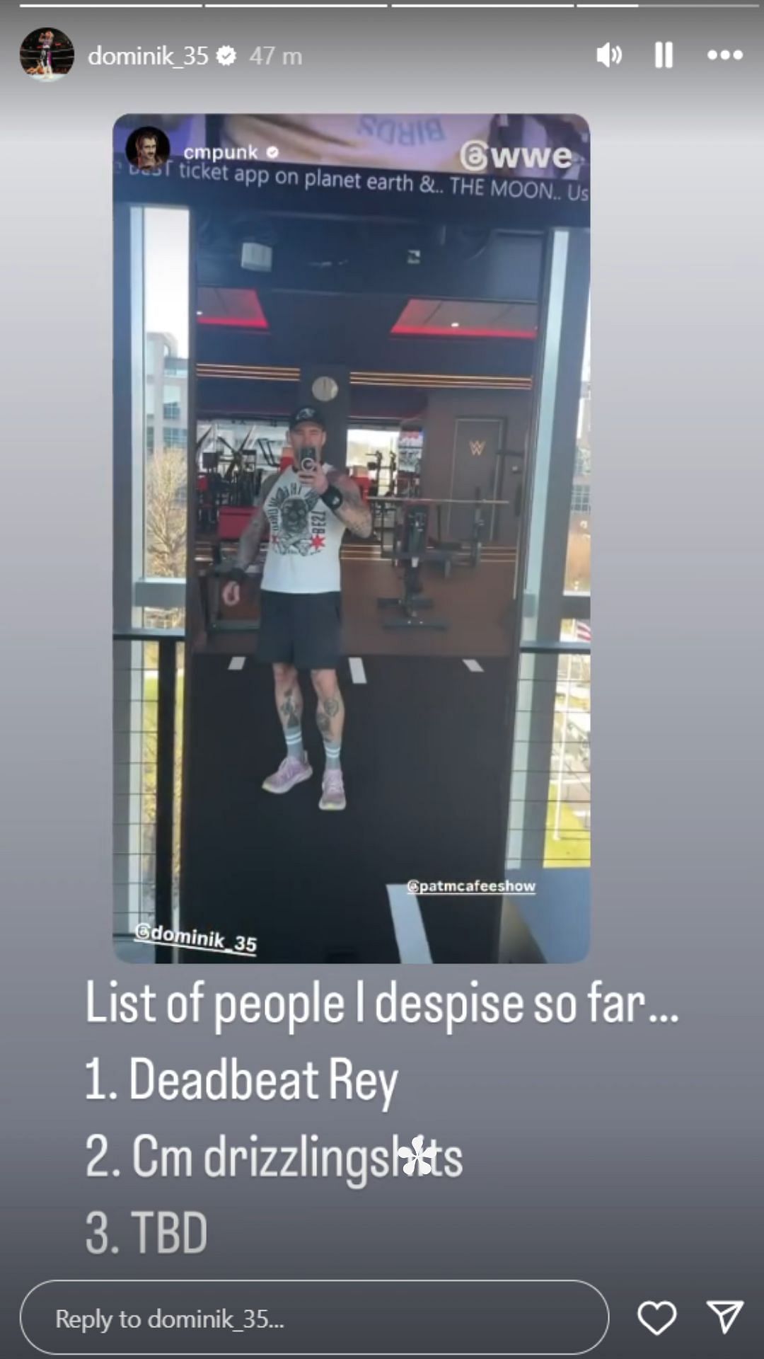 A screenshot of Dominik Mysterio's Instagram Story.